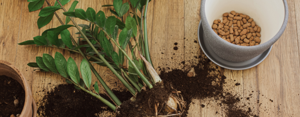 Benodigdheden Benodigdheden