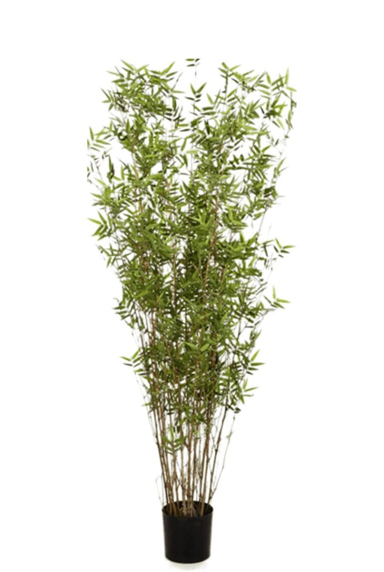 Bamboe kunstplant van kopen?- 123planten.nl