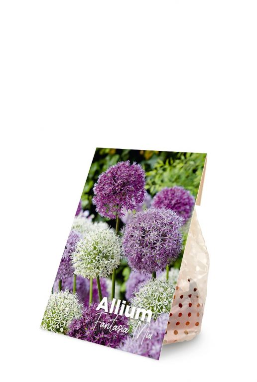 Allium fantasia mix voorkant