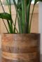 Helle bloempot hout plant 2