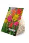 Canna Mix
