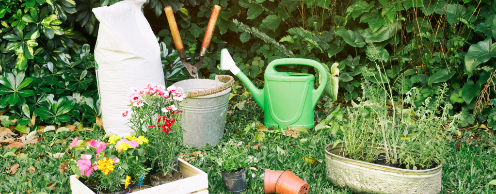 Top 10 tuinplanten voor een onderhoudsvriendelijke tuin 